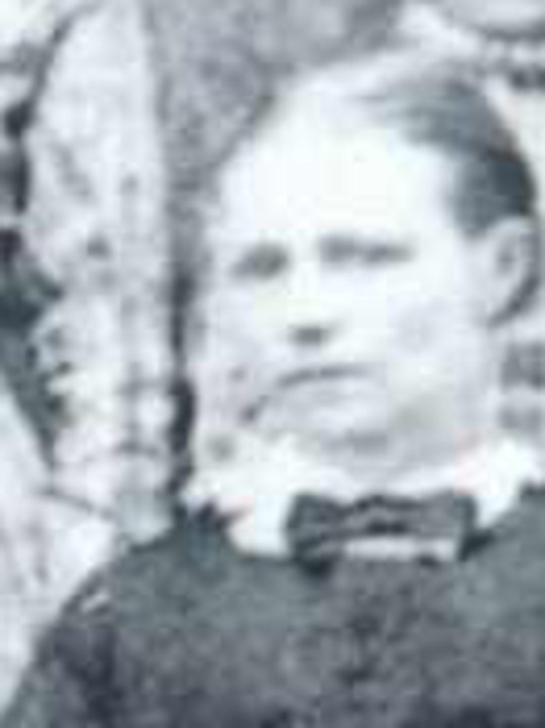 Melissa Ann Stratton (1845 - 1937) Profile